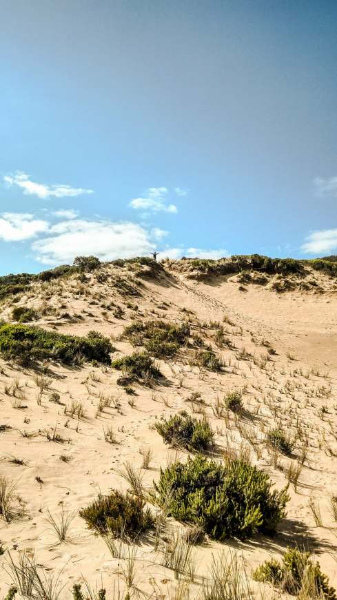 30825230_982609568573880_1100328658_o